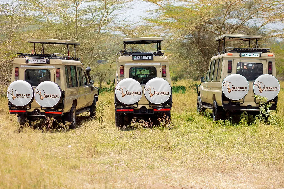Wildlife in Serengeti
