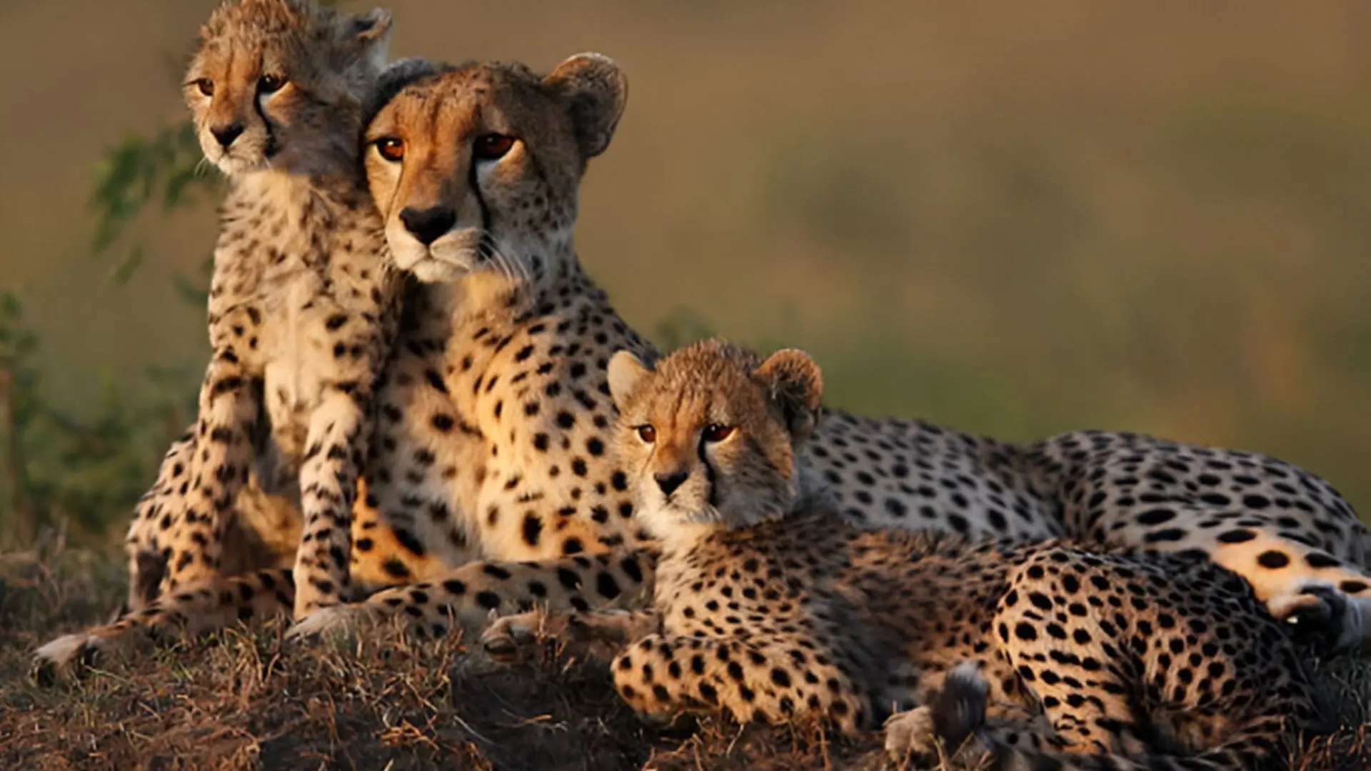 Serengeti National Park
