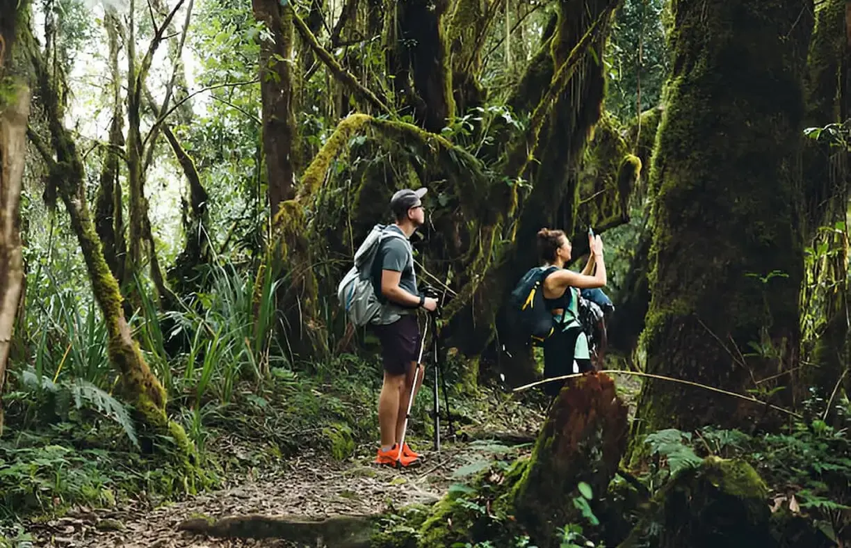 15 Best Things to Do in Tanzania
