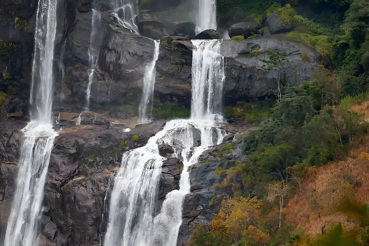 Udzungwa Mountains trekking