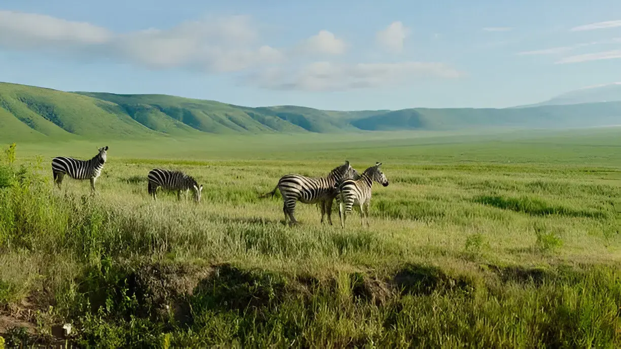 Ngorongoro Crater