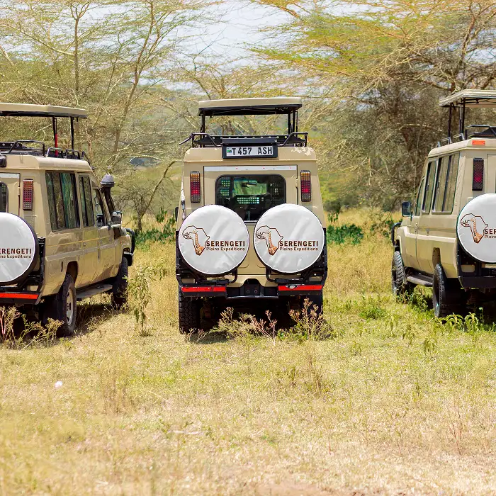 Safari Vehicle