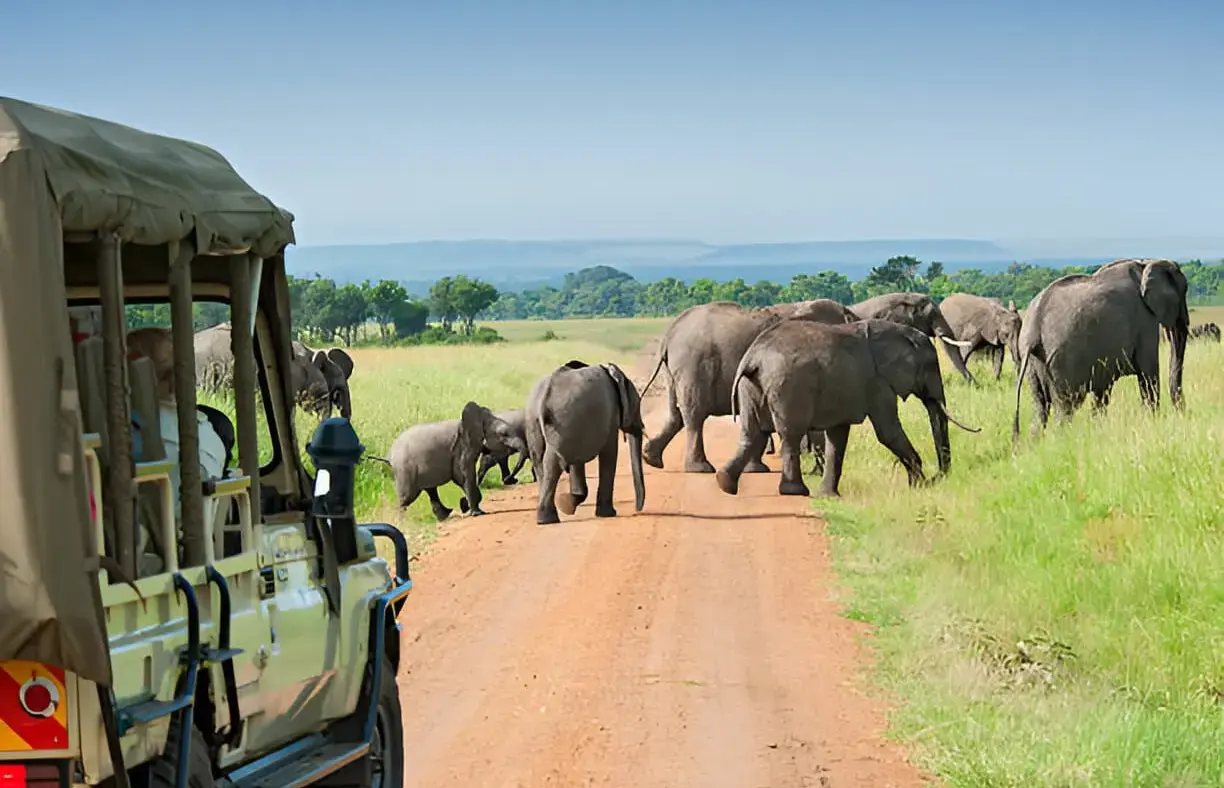 Tanzania Destinations
