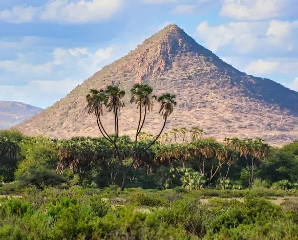 Kenya Landscape