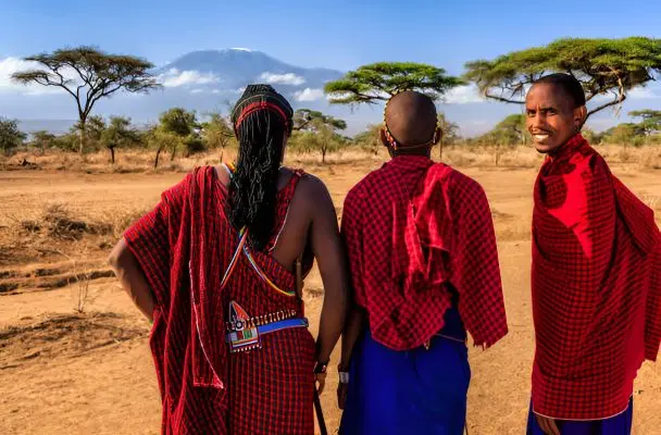 Kenya Wildlife