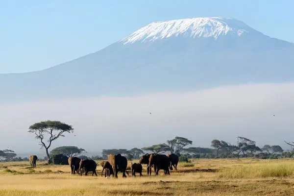 Mountain Kilimanjaro Adventures