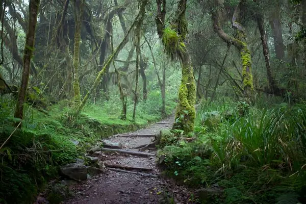 Machame Route