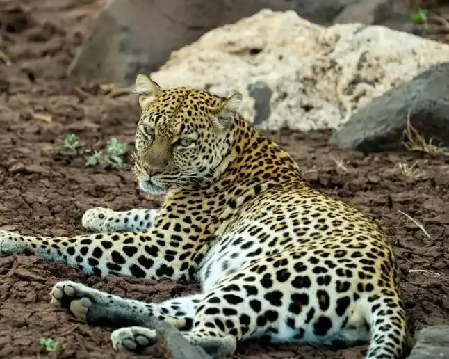 Tanzania & Zanzibar