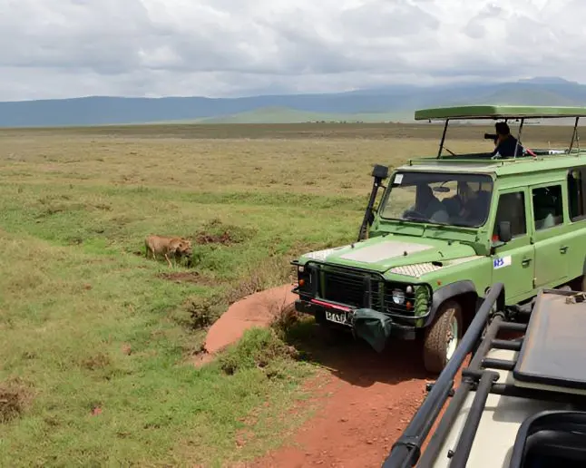 Tanzania Safari