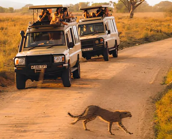 Tanzania Landscape