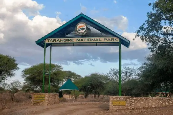 Elephants in Tarangire National Park