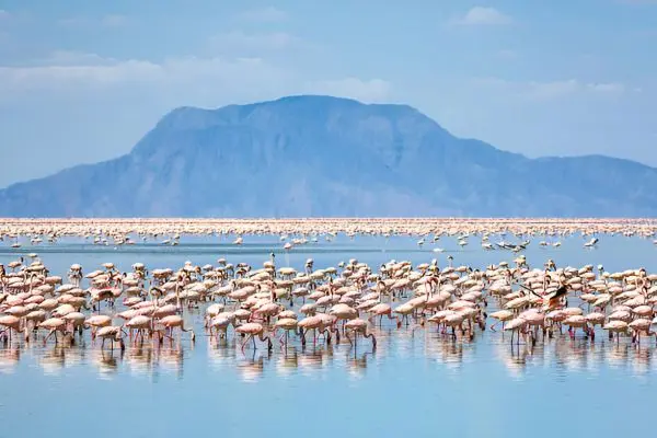 Vibrant red waters of Lake Natron with volcano backdrop