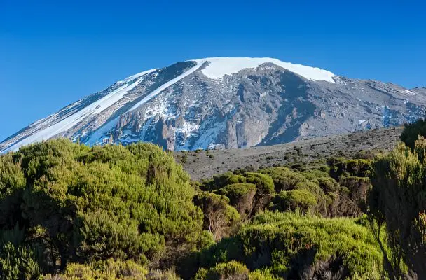 Snow-capped summit of Mount Kilimanjaro at sunrise