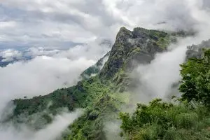 Usambara Mountains