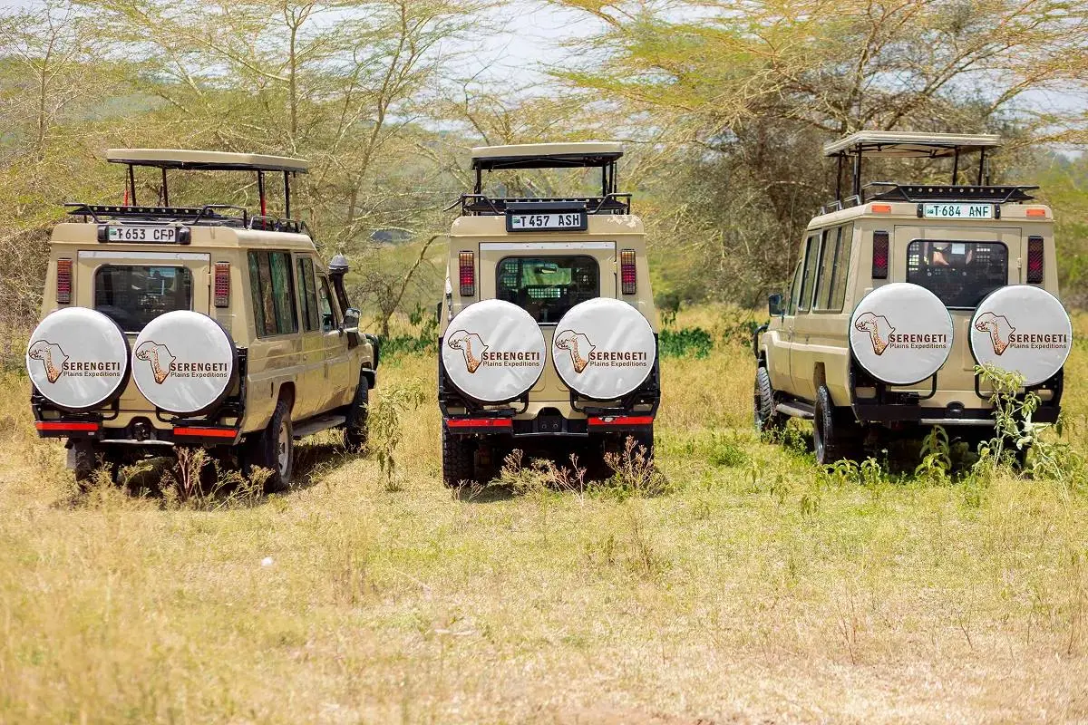 Serengeti Plains Expeditions