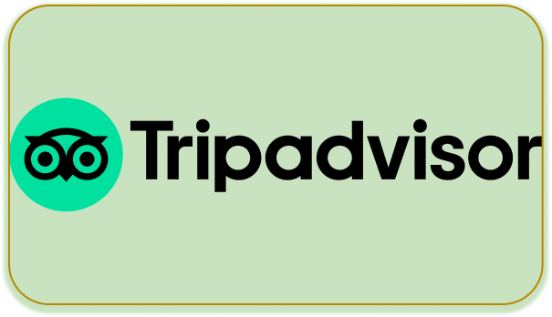Trip Advisor